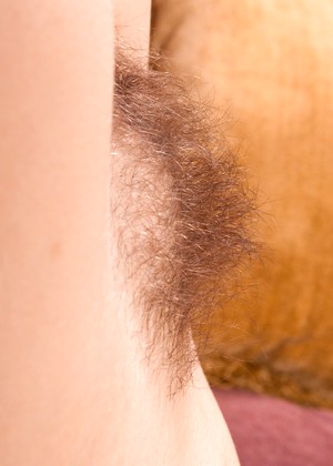 Wearehairy Model