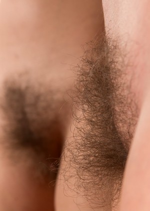 Wearehairy Model