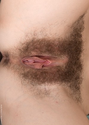 Wearehairy Model